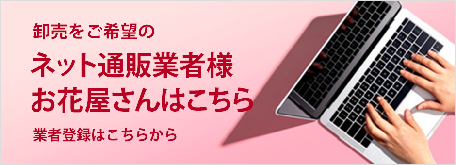 業者登録はこちらから。卸売をご希望のネット通販業者様、お花屋さんはこちら。